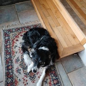 Meet your Posher, Desiree